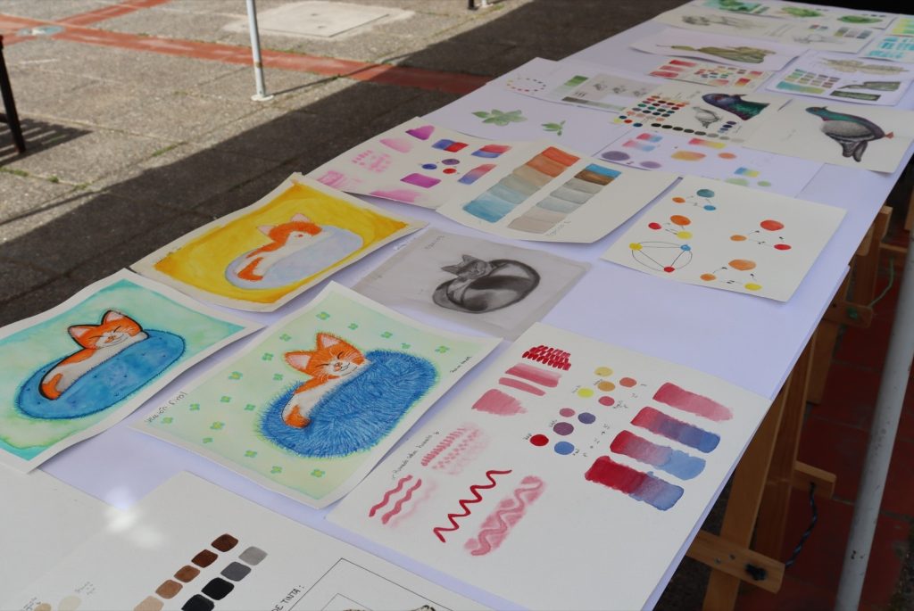 Resultados finales del Taller Electivo "El color de la naturaleza"