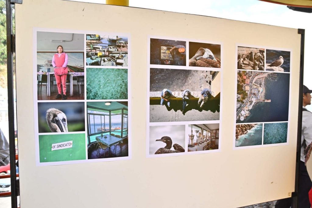 Exposición "La mar nos da, la mar nos quita" en la Caleta El Membrillo creada por estudianters de Fotografía de ARCOS Viña del Mar