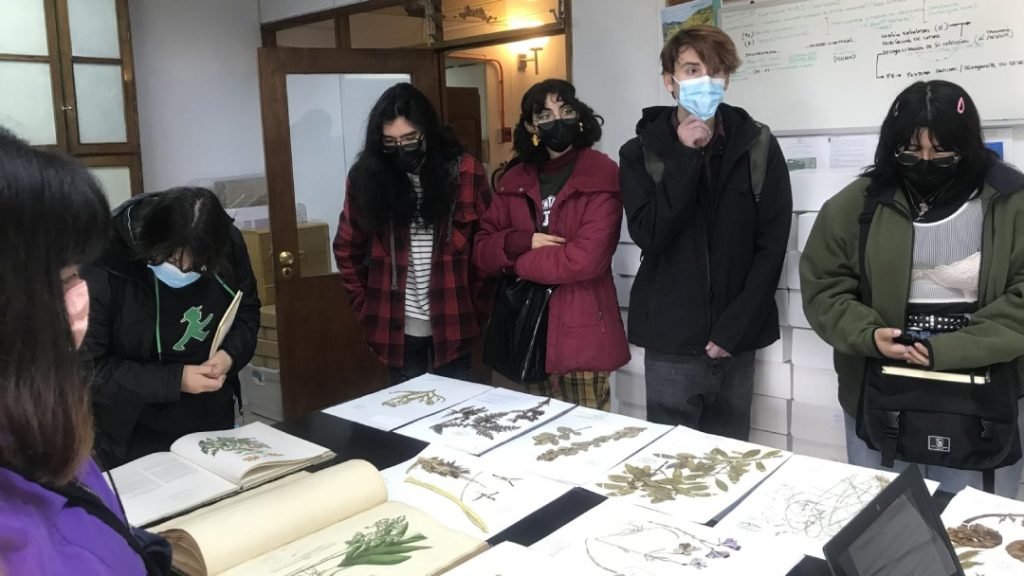Estudiantes de Ilustración de ARCOS durante su visita al Museo Nacional de Historia Natural
