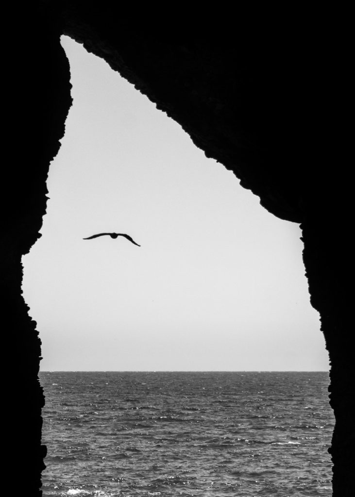 Fotografía de Gonzalo Alves que estará en Nueva Zelanda