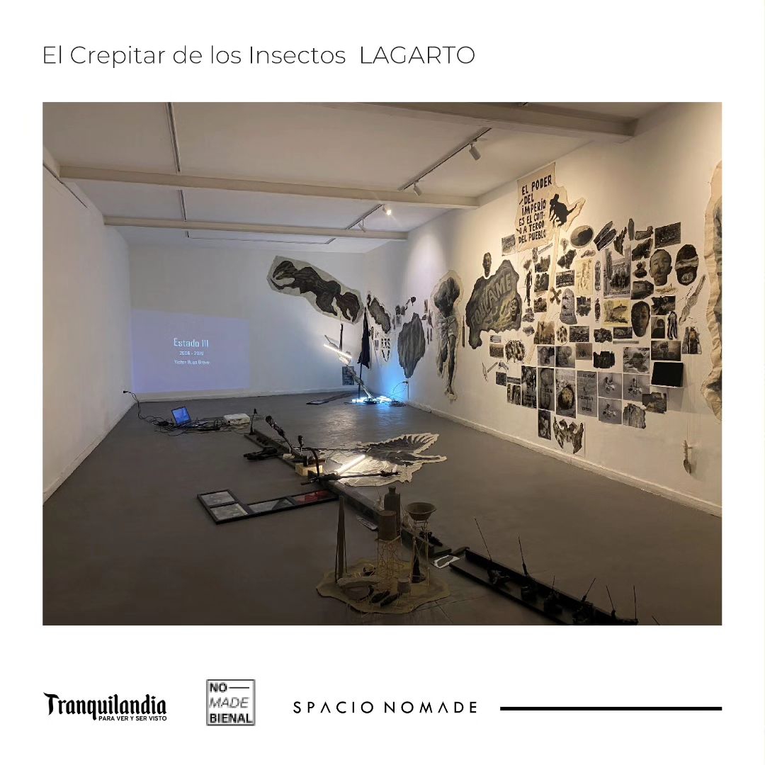 Muestra de El Crepitar de los Insectos LAGARTO, de Víctor Hugo Bravo, docente de ARCOS