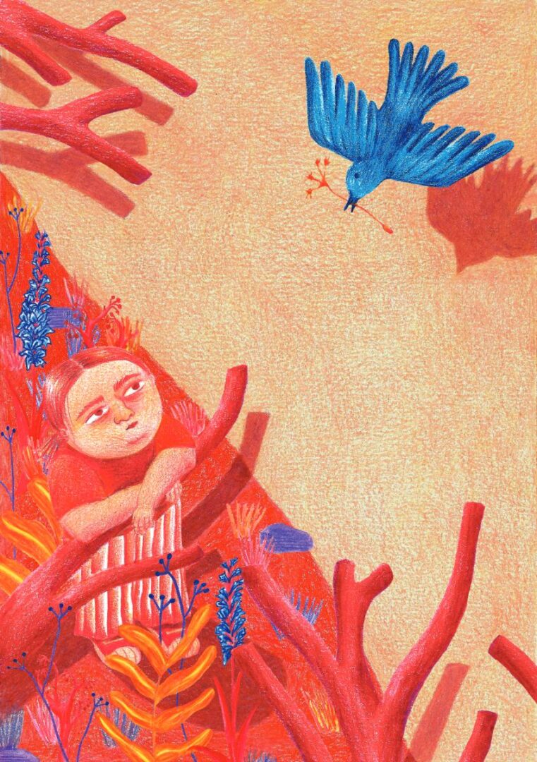 Ilustración de Paula Boric, "Paula Bomo".