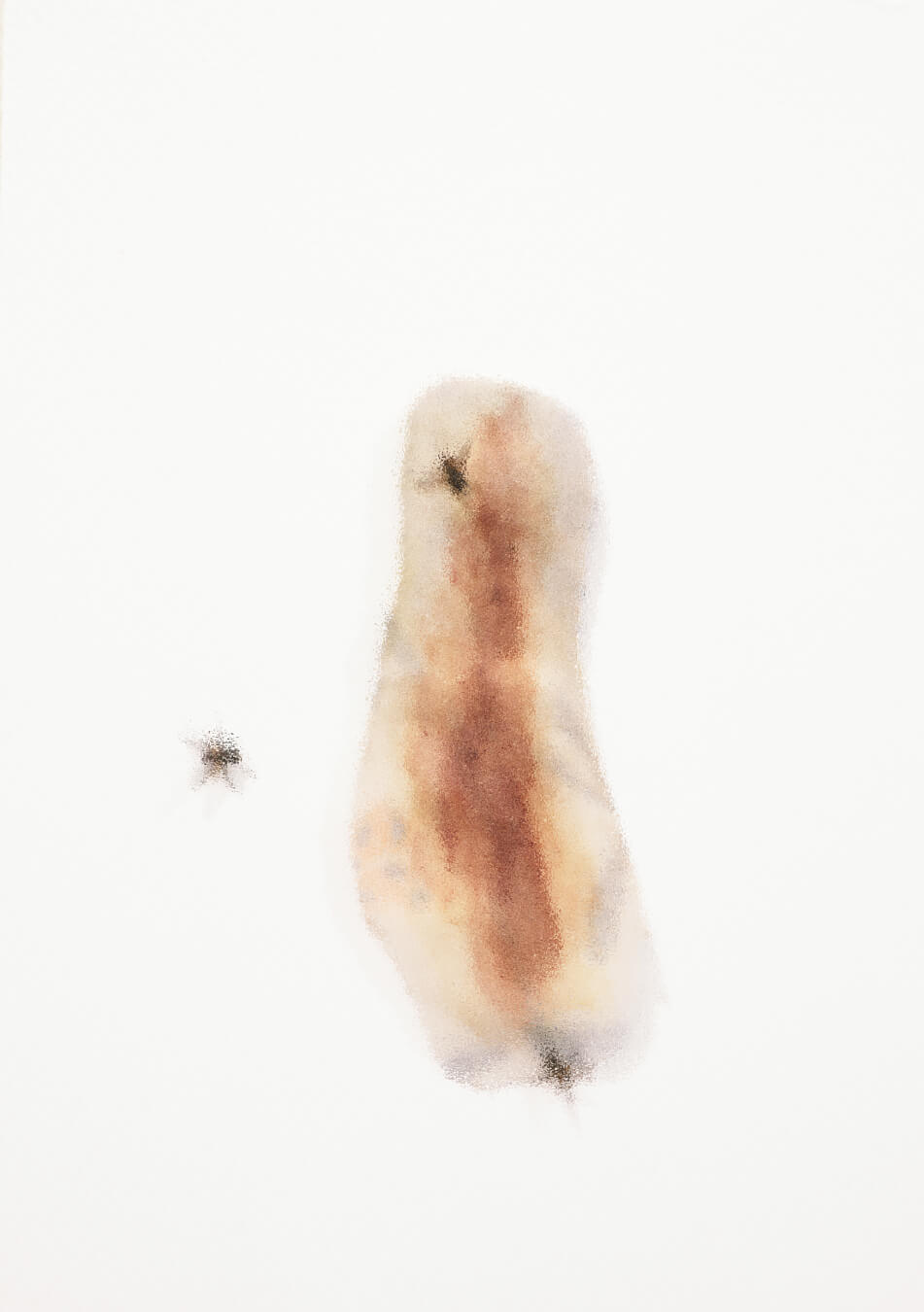 Imagen seleccionada para exposición "¿Qué cosas te atan a la vida?", organizan DAE y Escuela de Fotografía.